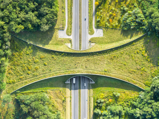 Best of the West: World’s largest wildlife crossings; Utah Literacy Sympo...